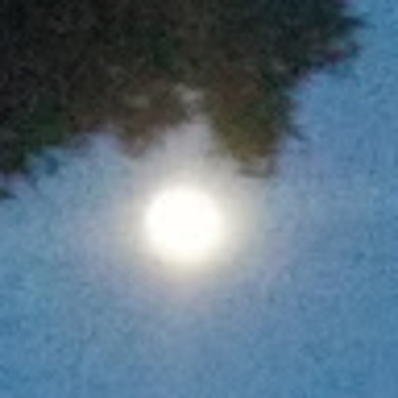 Meet the Posher Other - Meet your Posher, Jenn